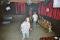 imm013_13.jpg_t60.jpg